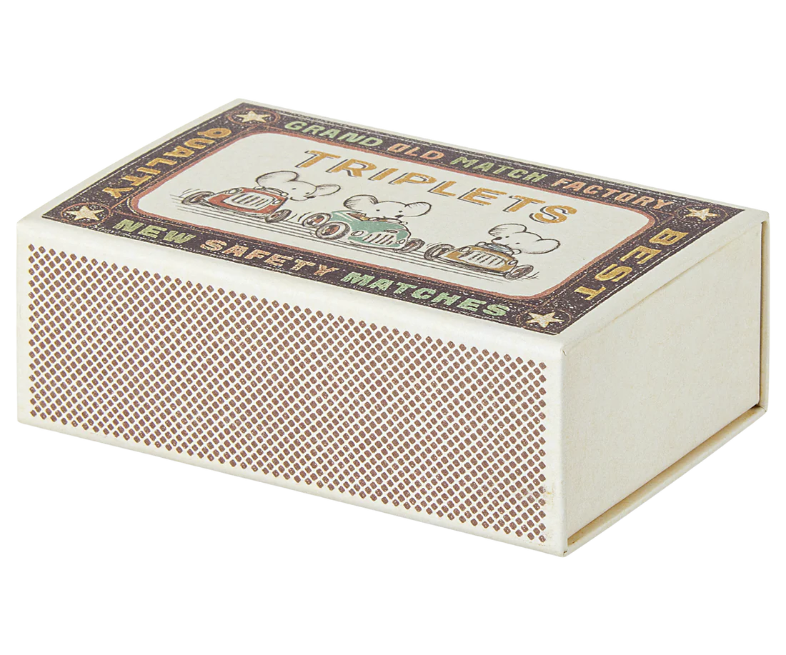 Ratinhos trigémeos na caixa