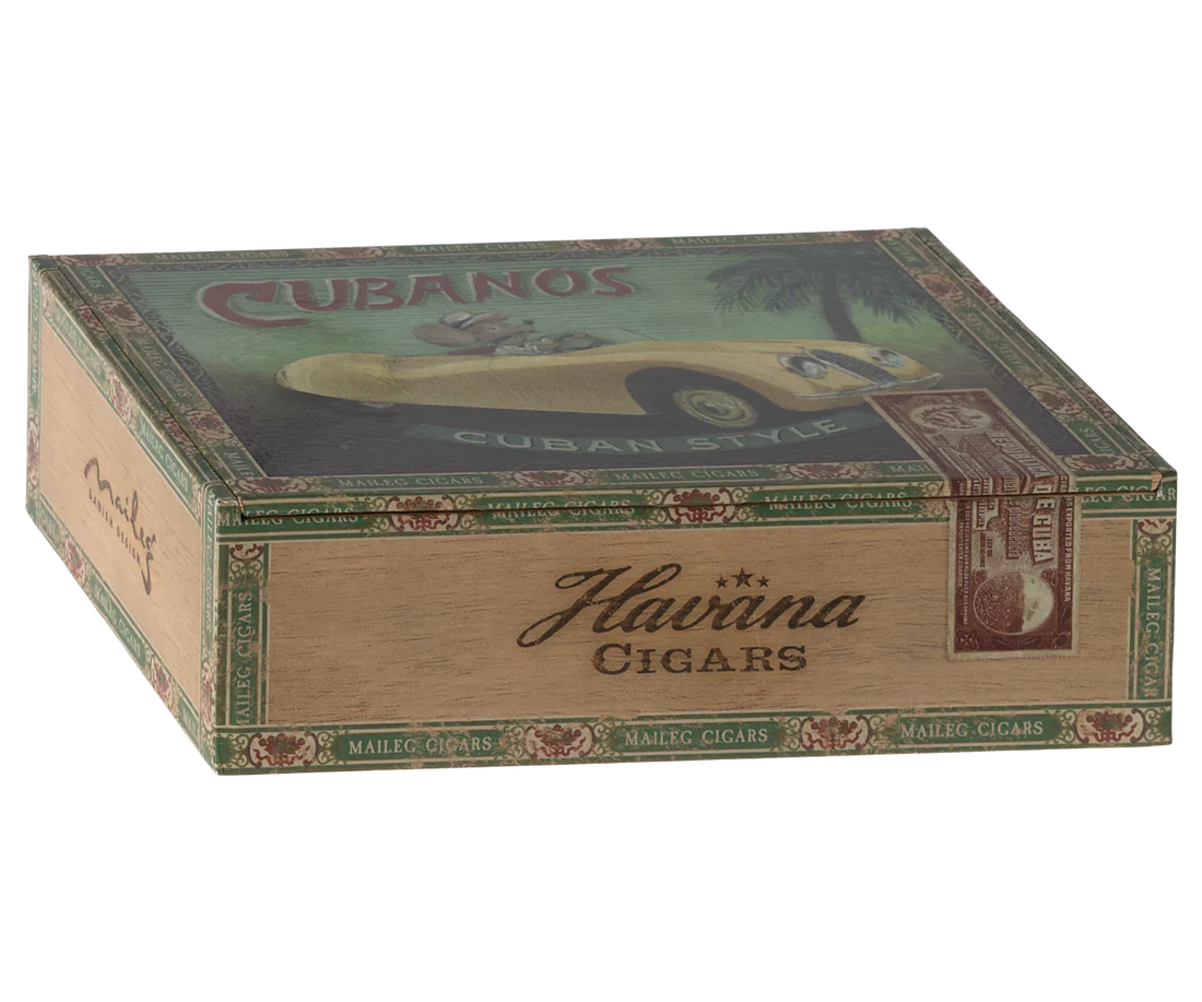 Ratinhos avó e avô na caixa de charutos