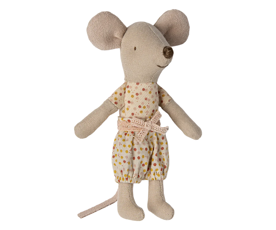 Irmã mais nova ratinha numa caixa de fósforos