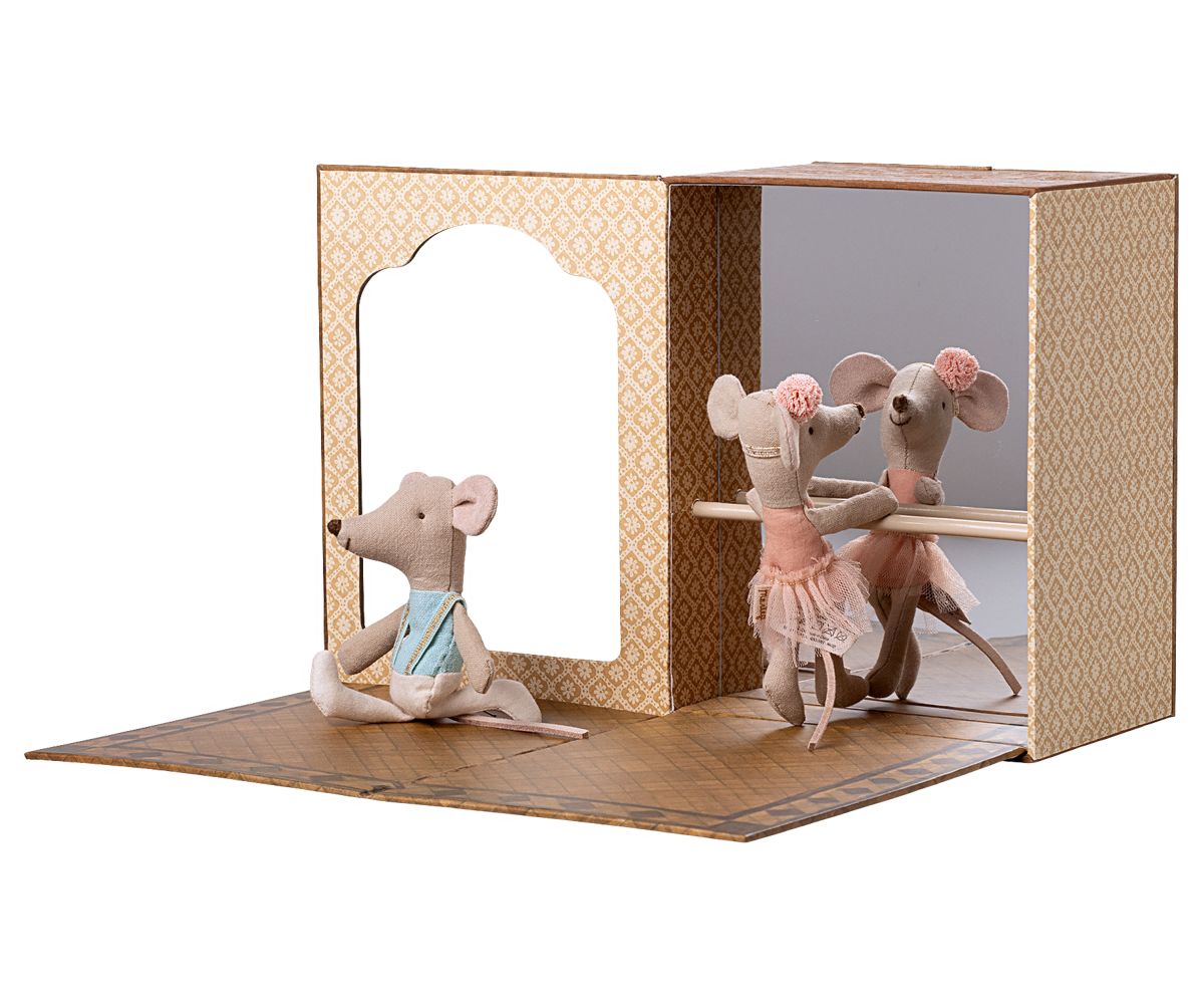 Ratinhos bailarinos no estúdio de dança