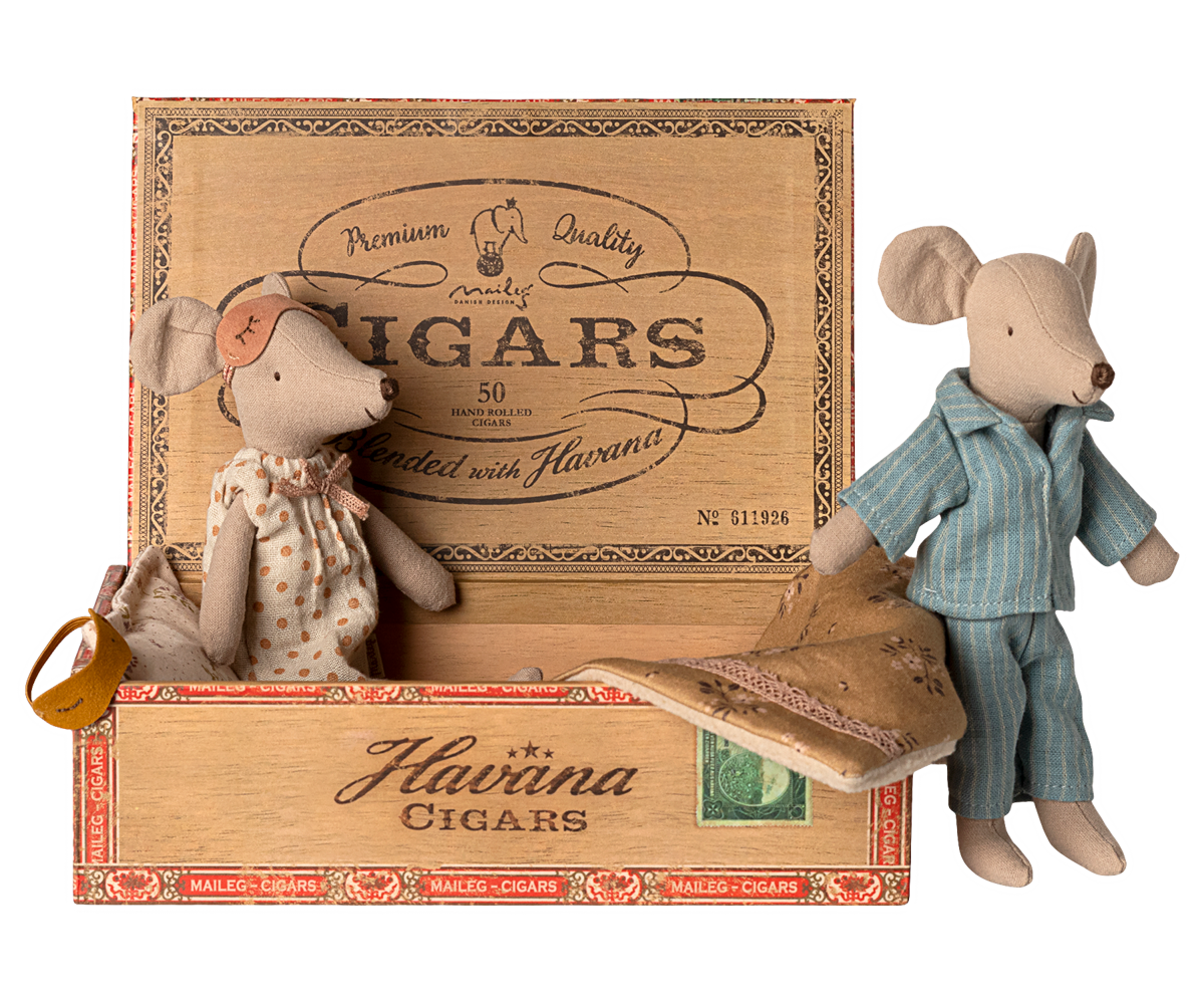 Mamã e Papá Ratos na caixa de charutos
