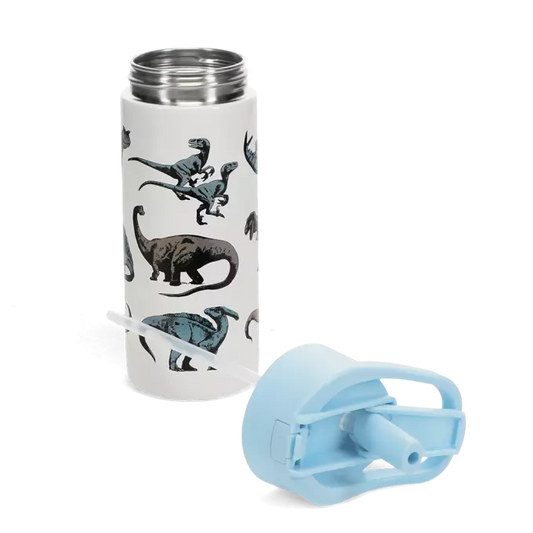 Garrafa metálica dinossauros