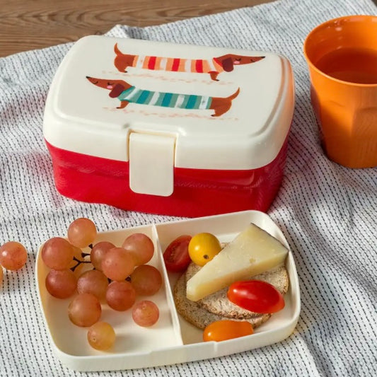 Caixa cães salsichas