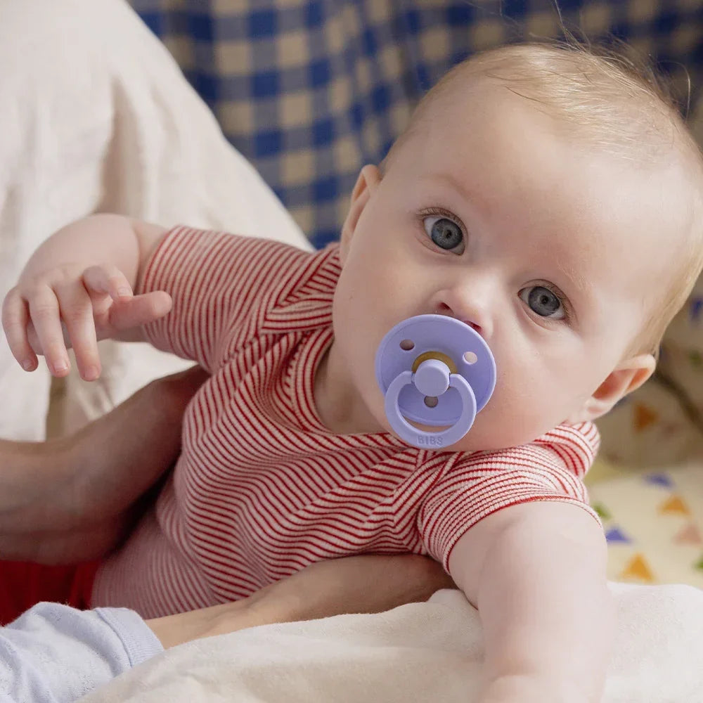 Conj. 2 chuchas BIBS® Hush/Grape