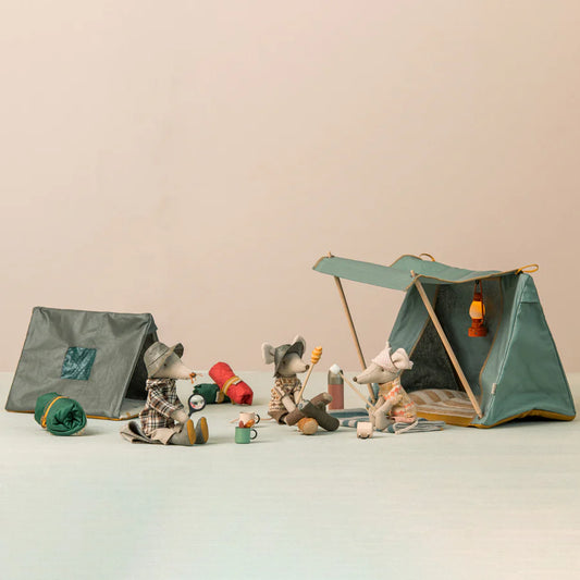 Ratinho camping, big brother