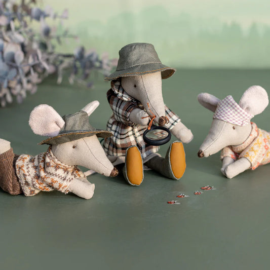 Ratinho Wildlife Guide