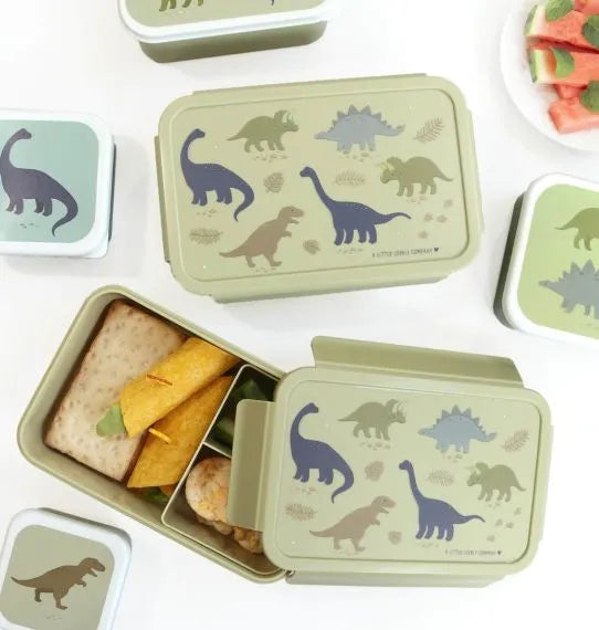 Caixa Dinossauros
