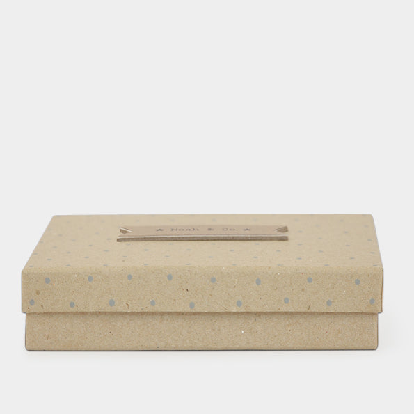 Arca de Noé em caixa