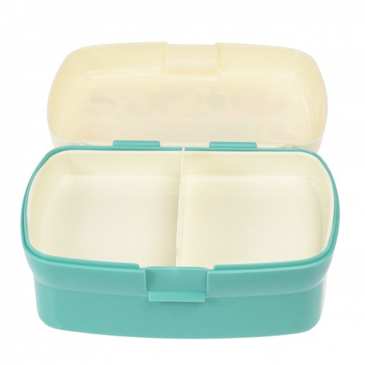 Caixa maravilhas selvagens