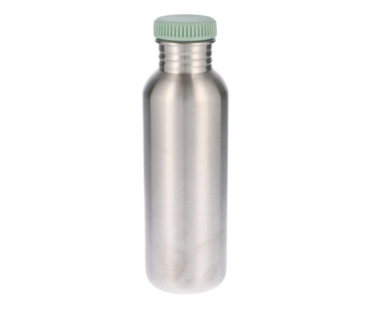 Garrafa metálica dinossauros - 750ml