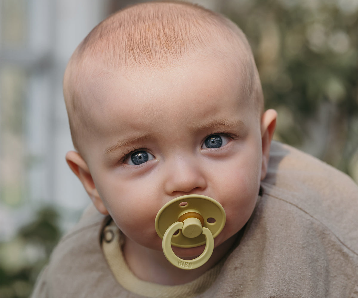 Conj. 2 chuchas BIBS® meadow/earth