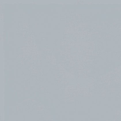 CSFSESS-SILVE _ tecido