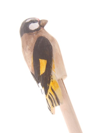 Lápis de carvão pássaros