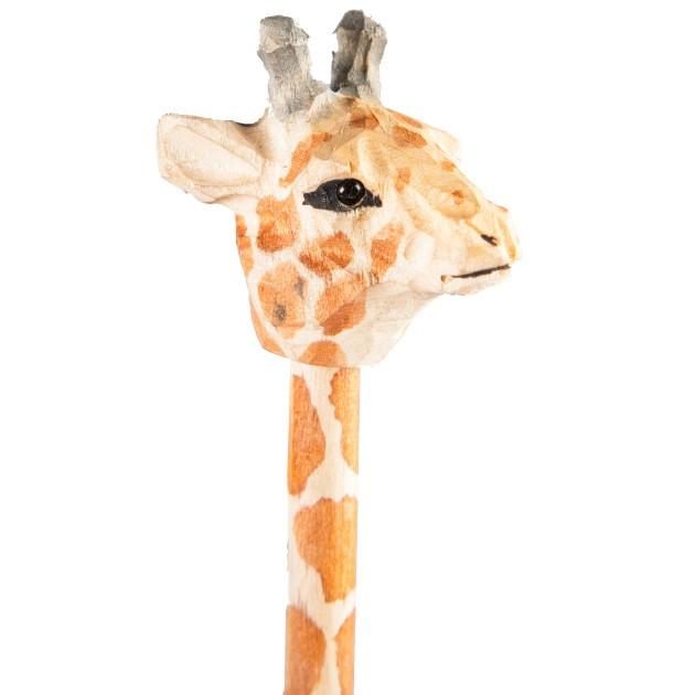Lápis de carvão animais selvagens