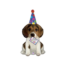 Carregar imagem no visualizador da galeria, Balão cão &quot;happy birthday&quot;