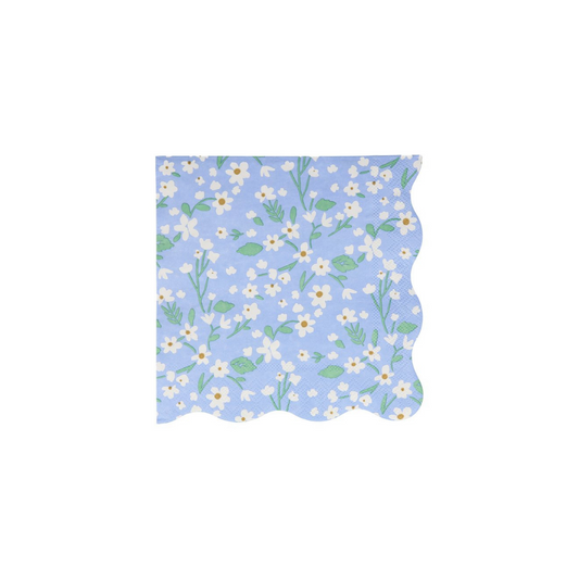 Guardanapos coloridos margaridas grandes