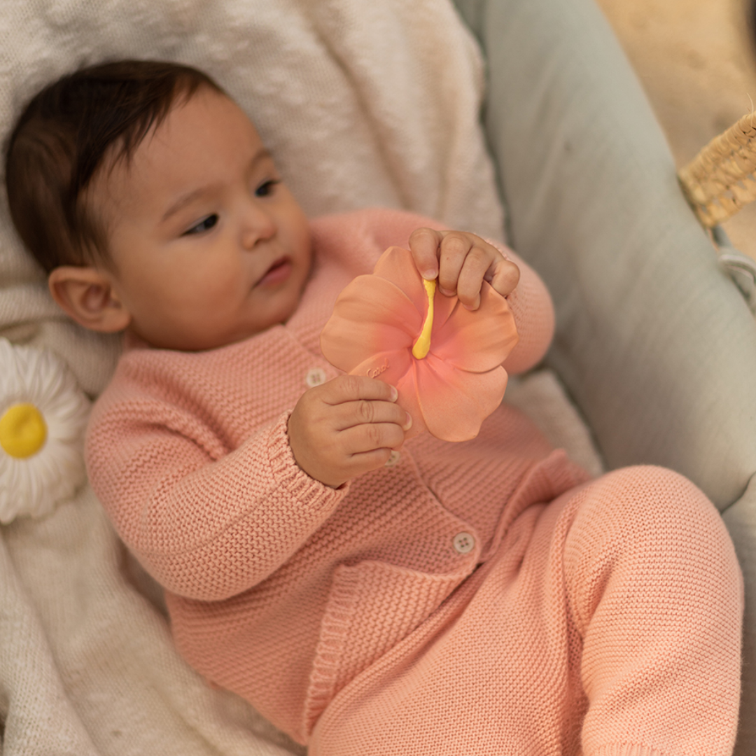 Mordedor flor de hibisco