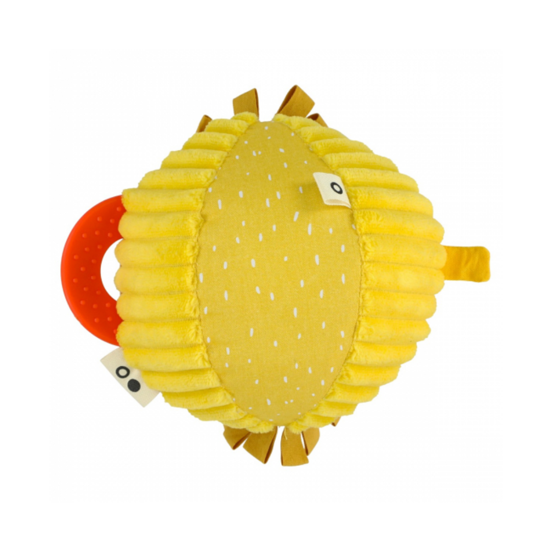 Bola de atividade - leão