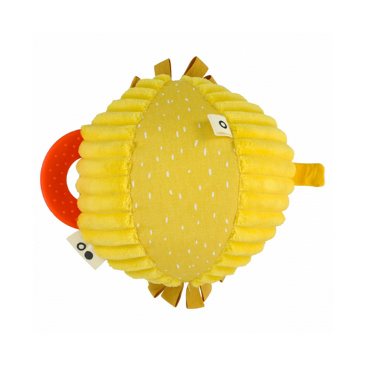 Bola de atividade - leão