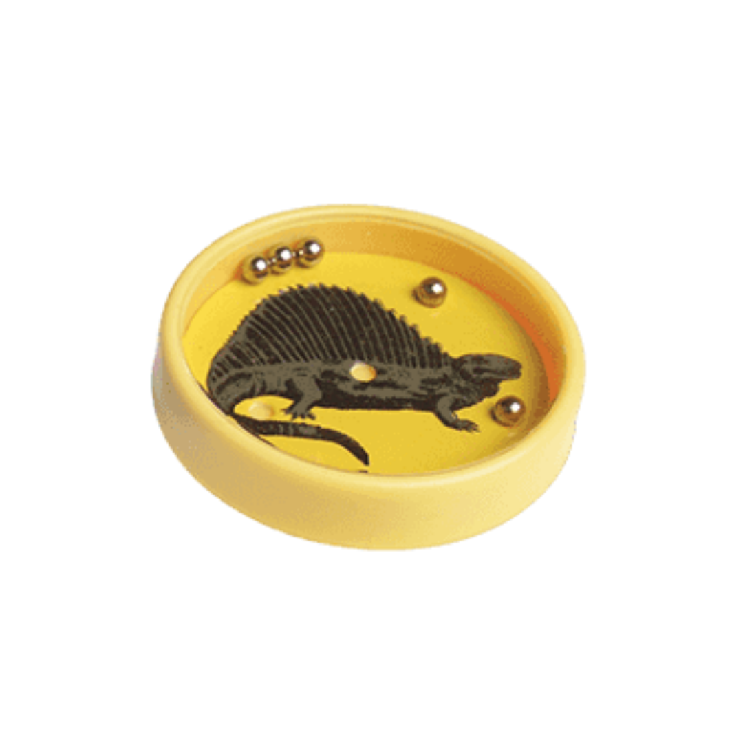 Mini jogo dinossauros