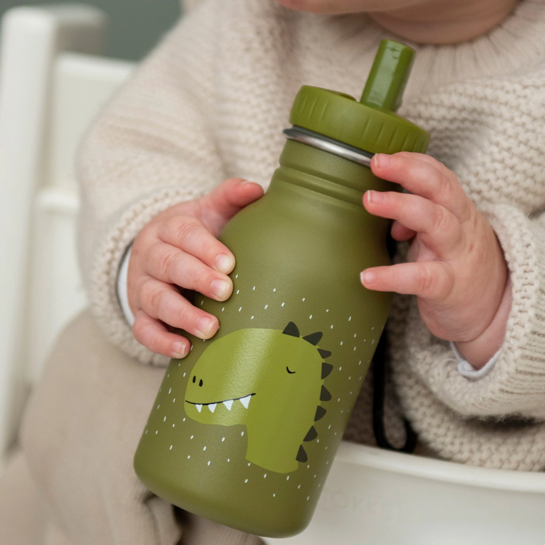 Garrafa Dinossauro 350ml