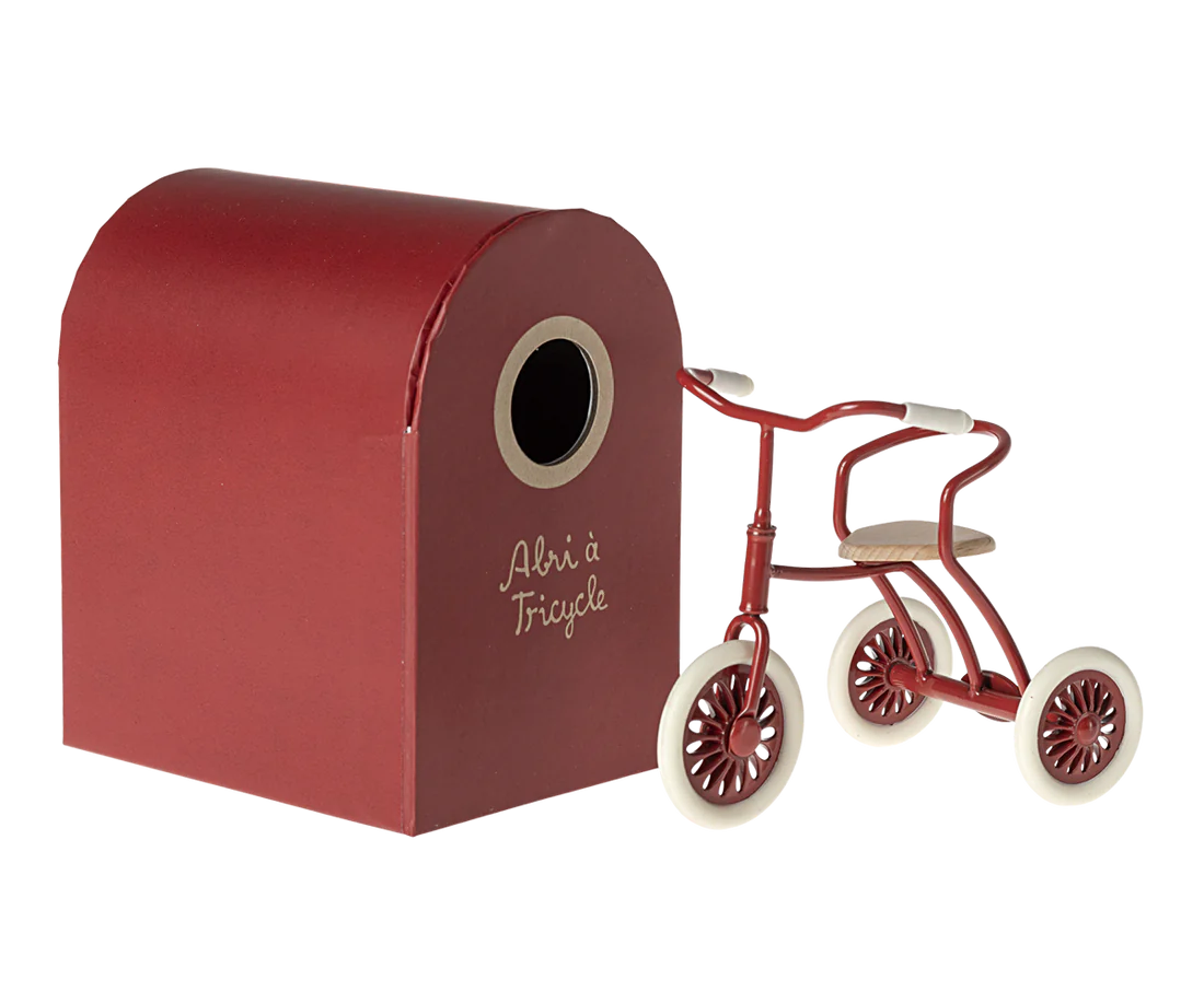 triciclo encarnado