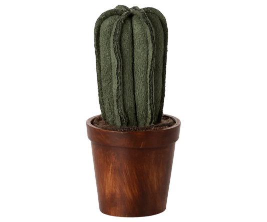 Vaso de flores com cactos