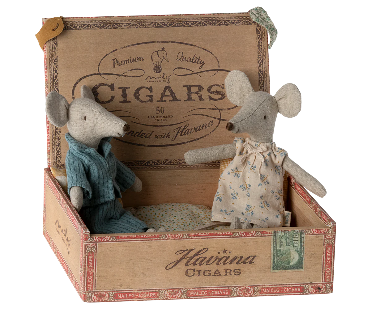 Ratinhos mãe e pai na caixa de charutos