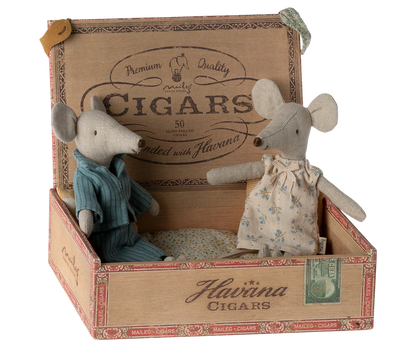 Ratinhos mãe e pai na caixa de charutos