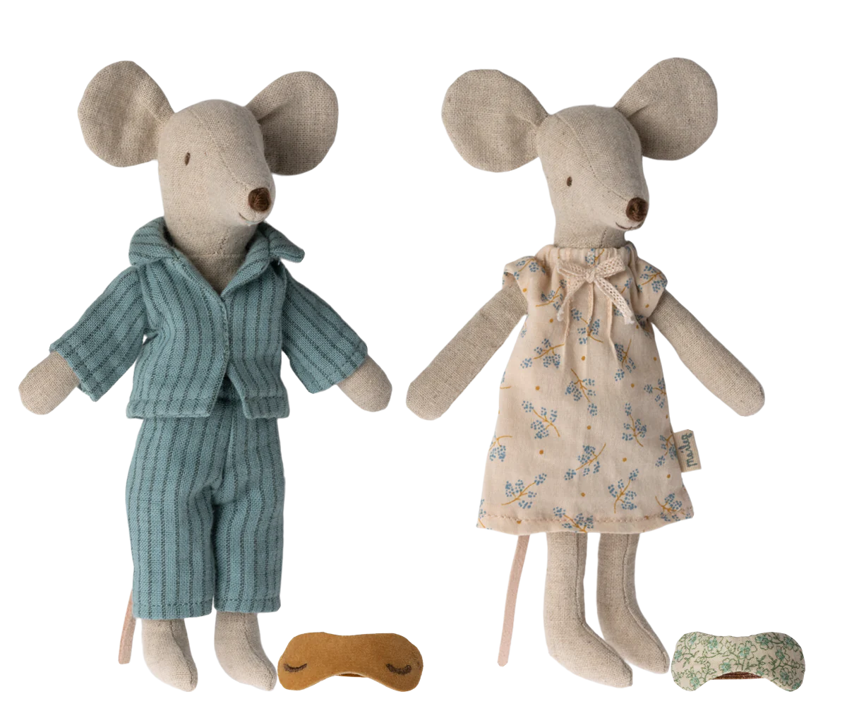 Ratinhos mãe e pai na caixa de charutos