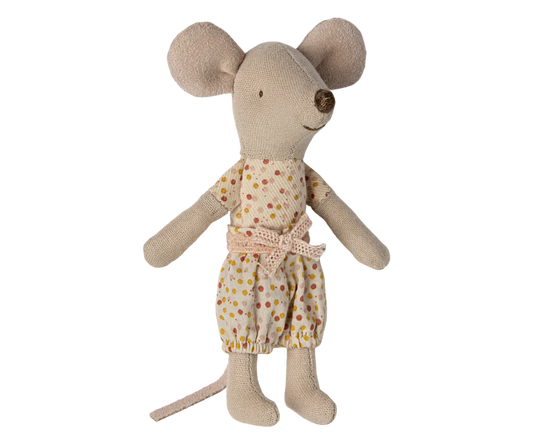 Irmã mais nova ratinha numa caixa de fósforos