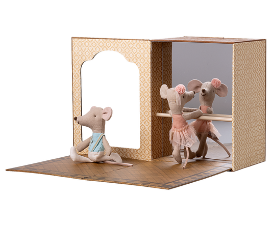 Ratinhos bailarinos no estúdio de dança