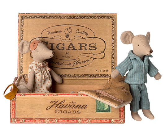 Mamã e Papá Ratos na caixa de charutos