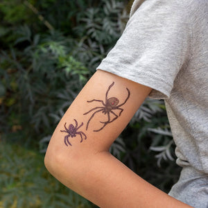 Tatuagens Aranhas
