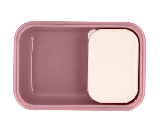 Caixa almoço blossom birds
