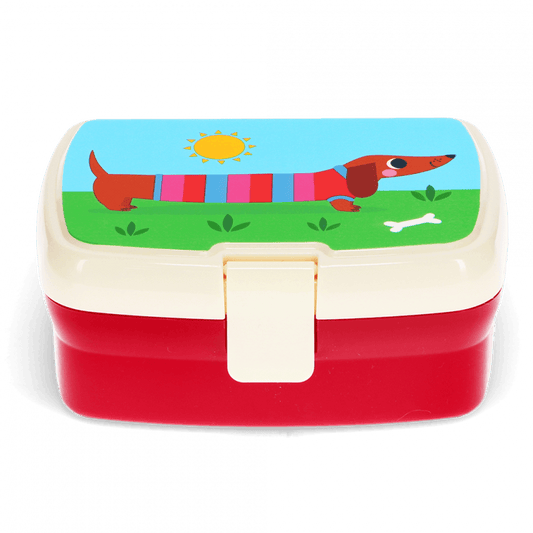 Caixa cão salsicha