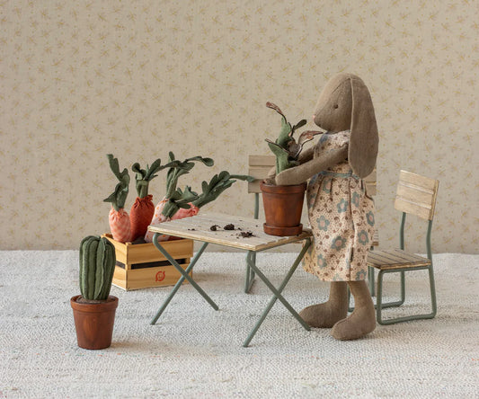 Vaso de flores com cactos
