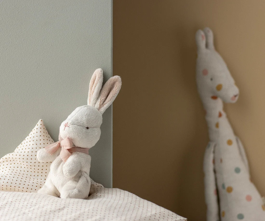 My first bunny - Powder
