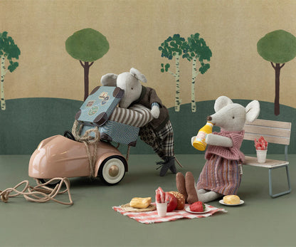 Picnic set