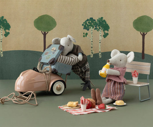 Picnic set