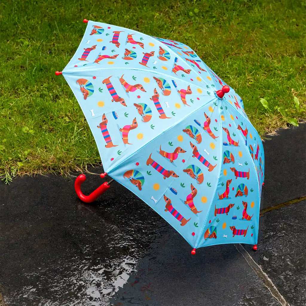 Guarda-chuva criança cães salsicha