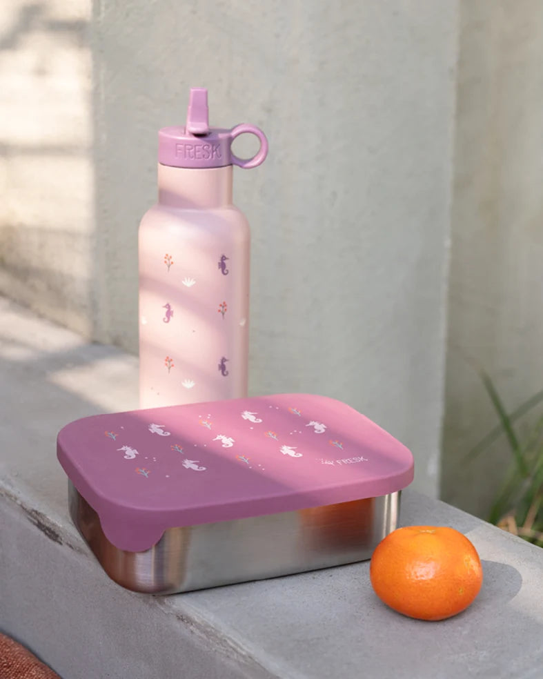 Caixa inox cavalo do mar