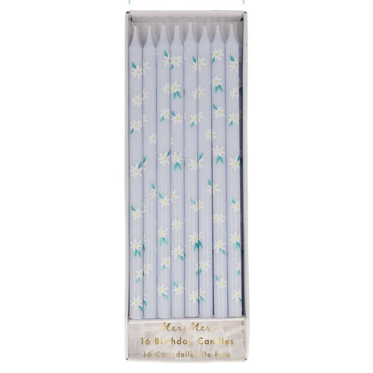 Velas compridas margaridas