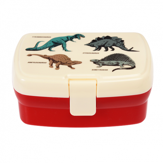 Caixa dinossauros