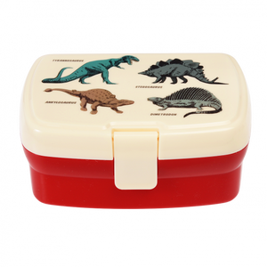 Caixa dinossauros