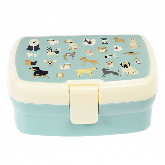 Caixa cães