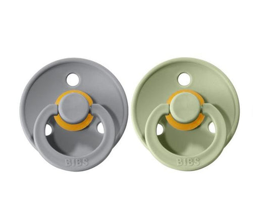 Conj. 2 chuchas BIBS® sage/cloud