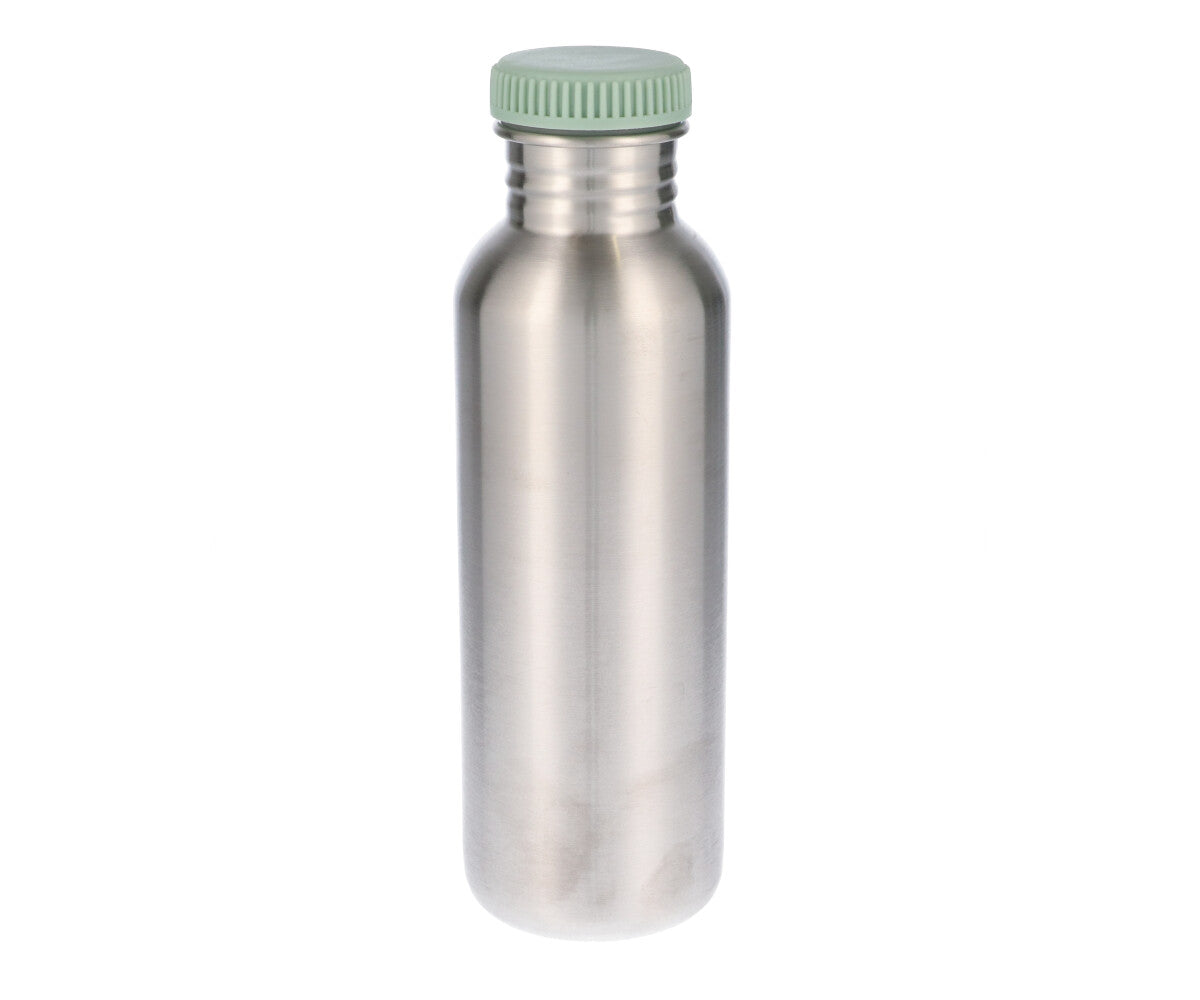 Garrafa metálica dinossauros - 750ml
