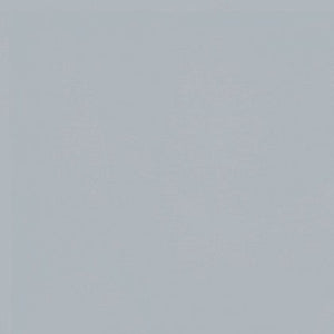 CSFSESS-SILVE _ tecido