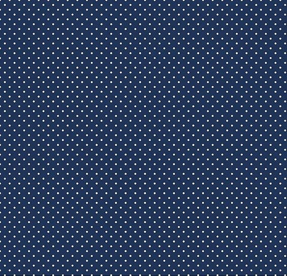 C670-21NAVY _ tecido